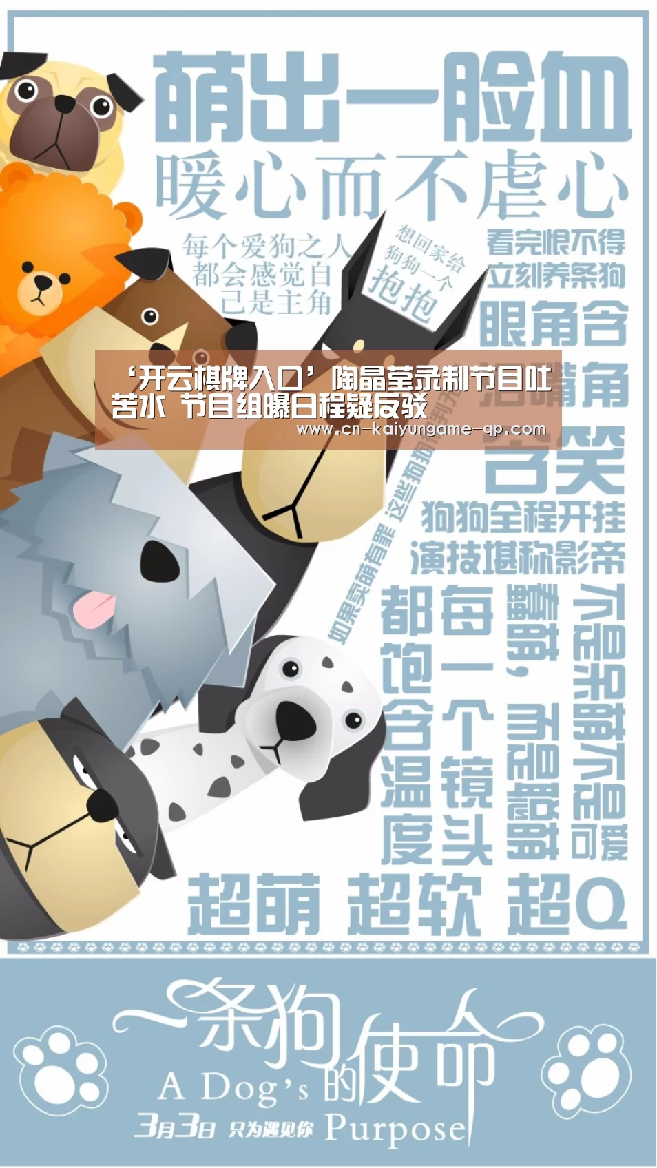 开云棋牌官方下载
