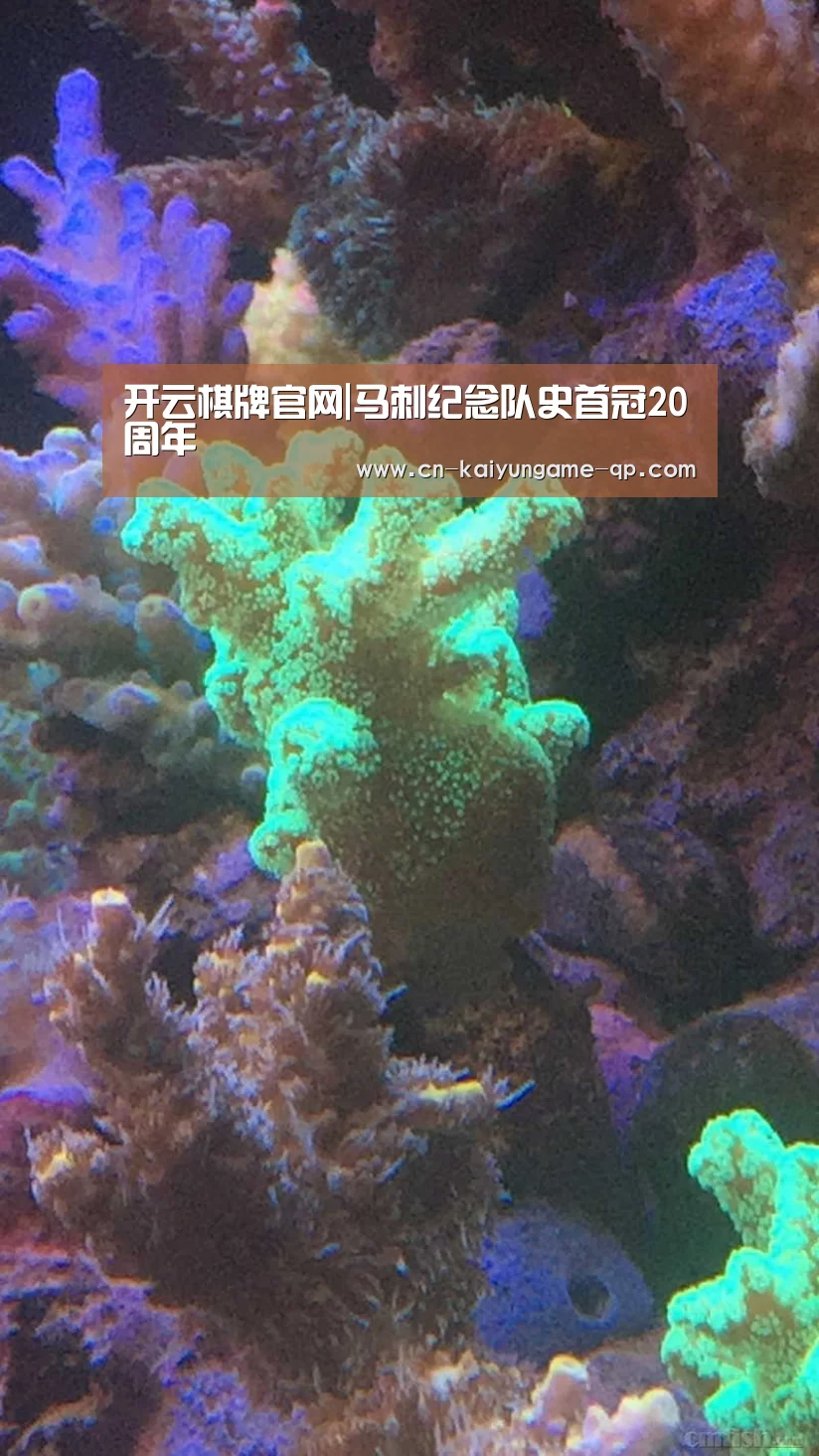 开云棋牌官网|马刺纪念队史首冠20周年(图2) 开云棋牌官网